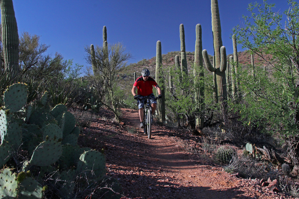 One of my favourite trails so far in Tucson.