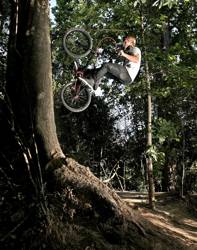 Treehover