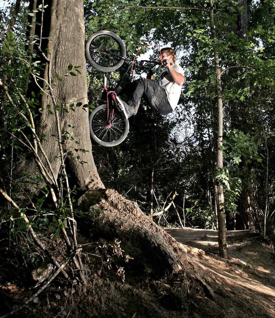 Treeride