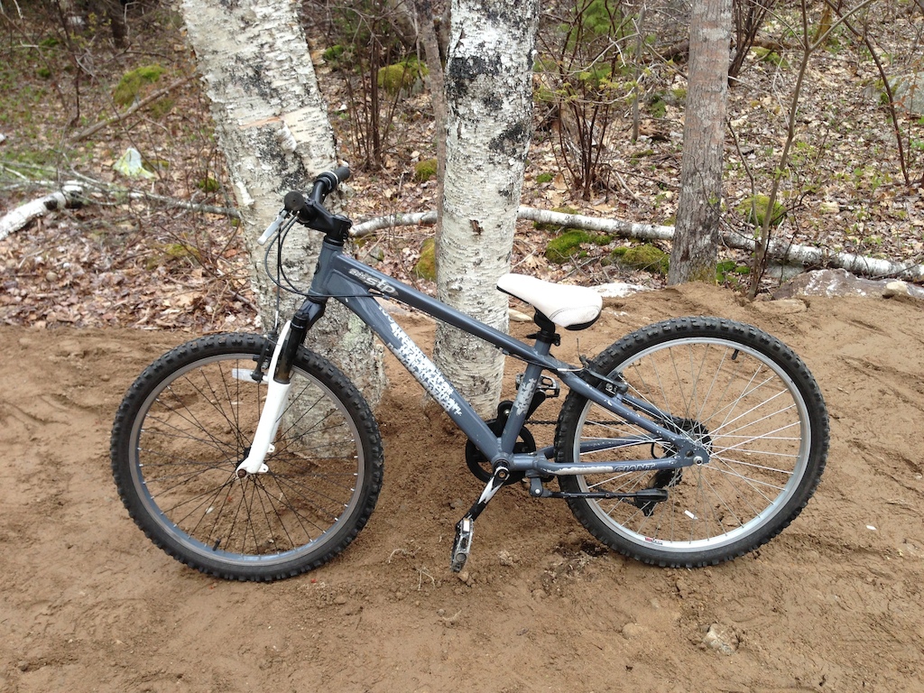 2008 Giant STP225