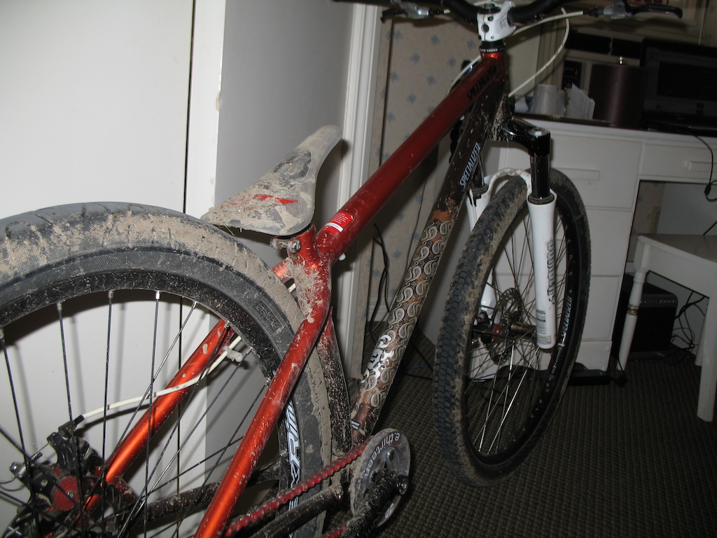 back from dragons drop got a little muddy