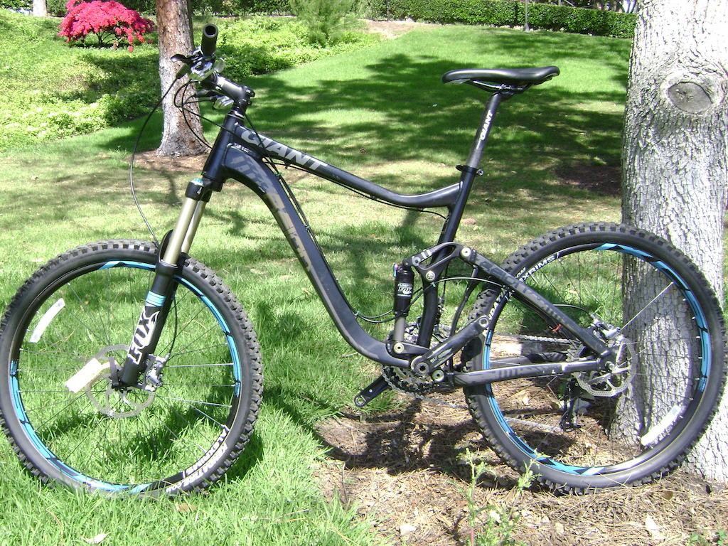 giant reign 2 2008
