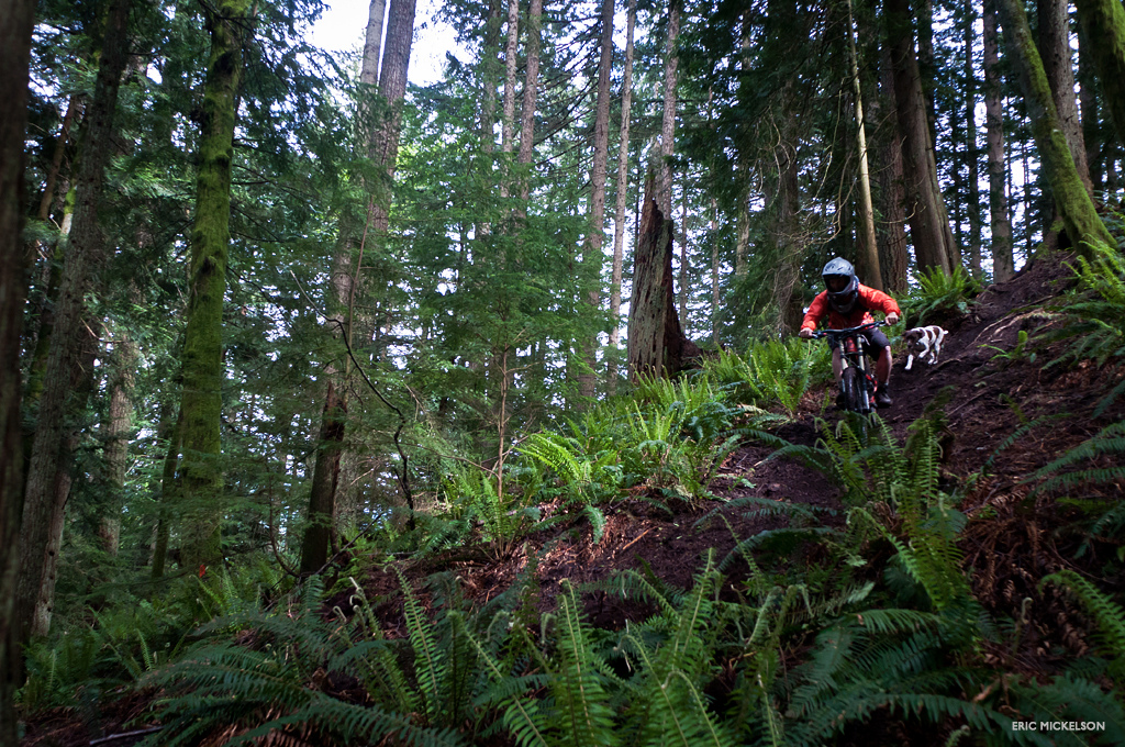 Hard to beat charging PNW dirt with your buddy hot on your heels.