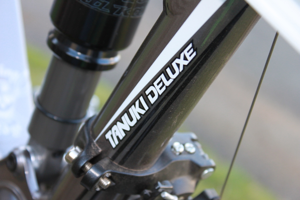 Seat tube and rear shock.