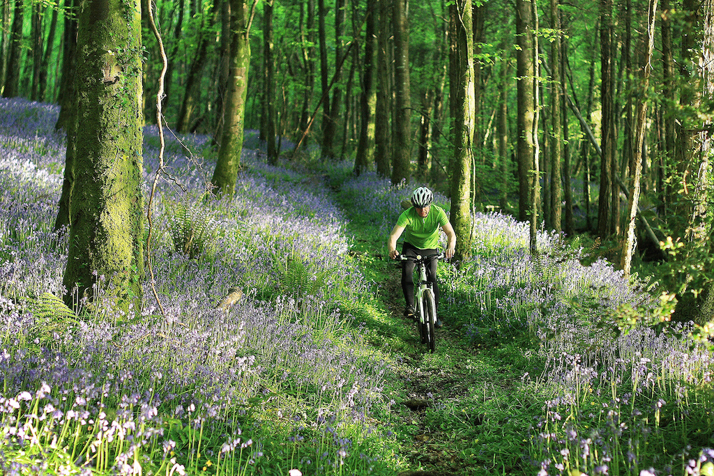 No better way to start a summers morning than a trail ride through a forest of bluebells.

Carlow, Ireland.