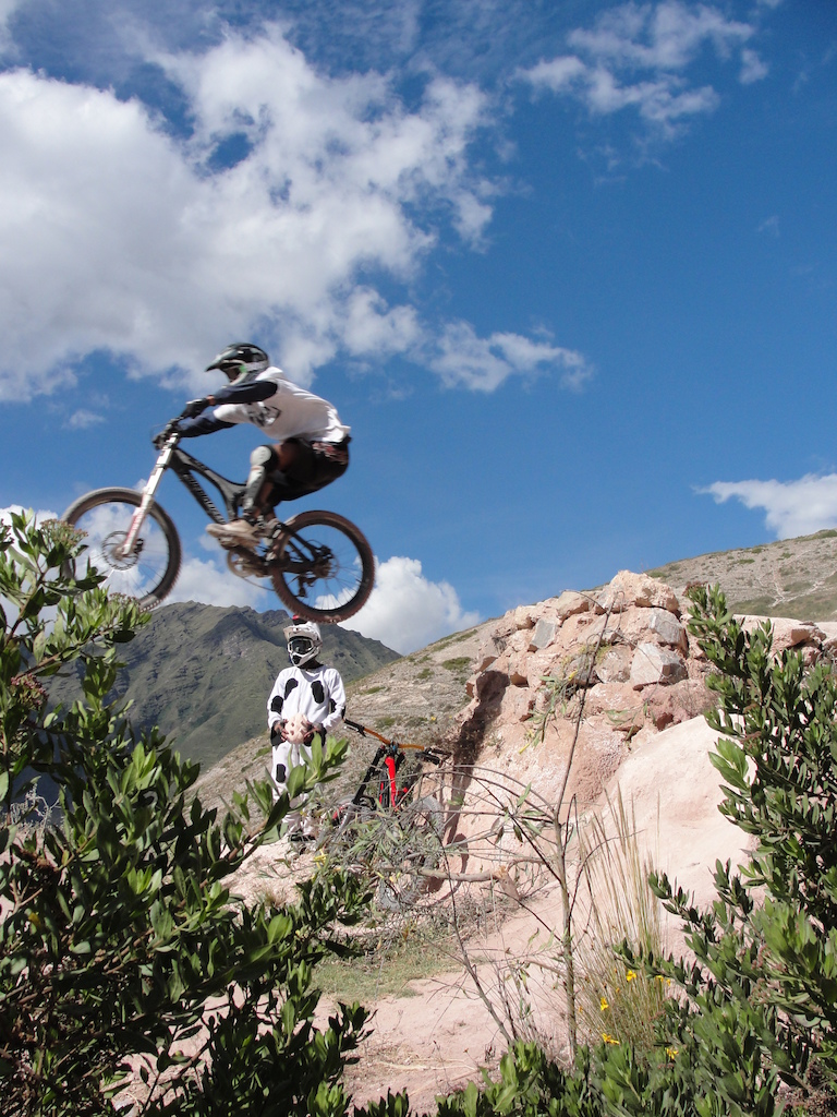 the cowbiker