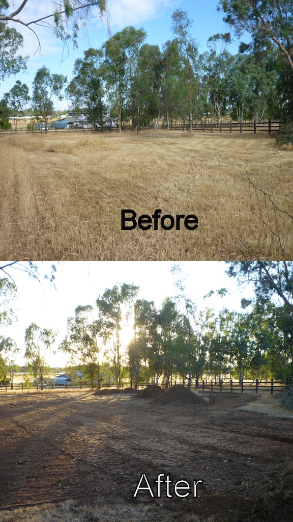 Before and after pic of the area I built my dirt jumps in on my property.