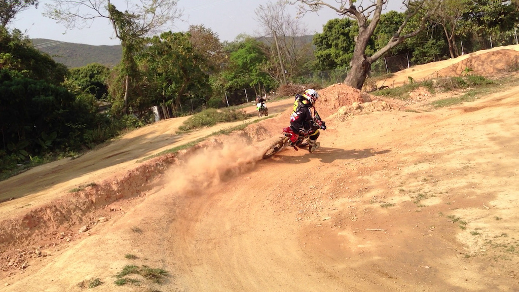 SHRED!