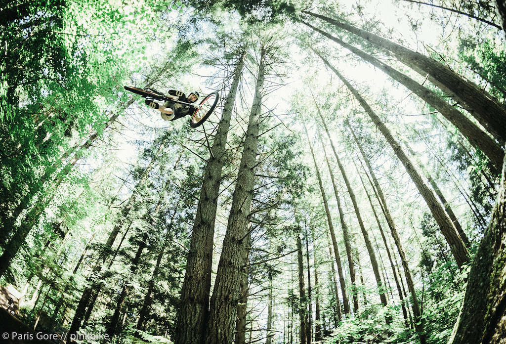 Dylan Bibbins.