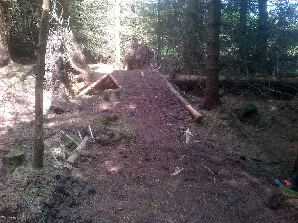 exit of ramp jump coming over fallen tree
