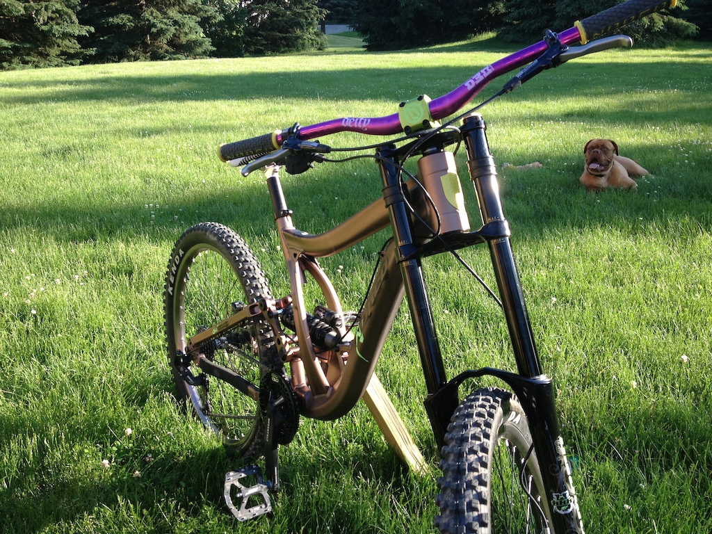 2010 norco atomik