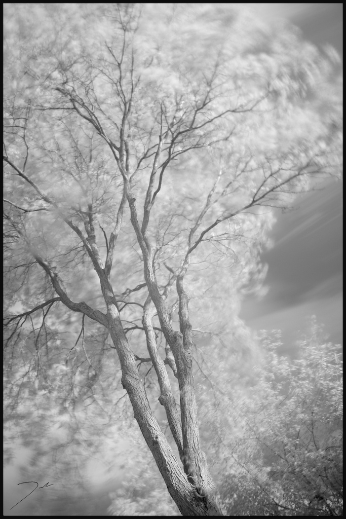 Infrared is sweeeet