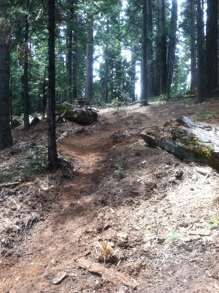 My first attempt as trail builder. Working solo for now.
