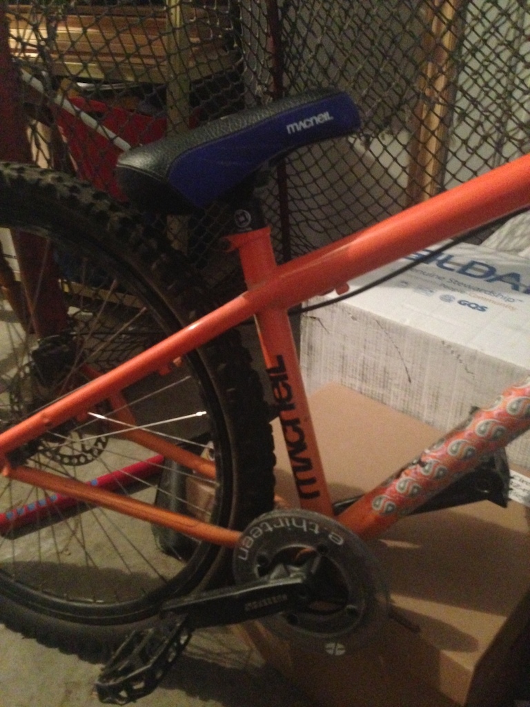 IMG 5953 jpeg
