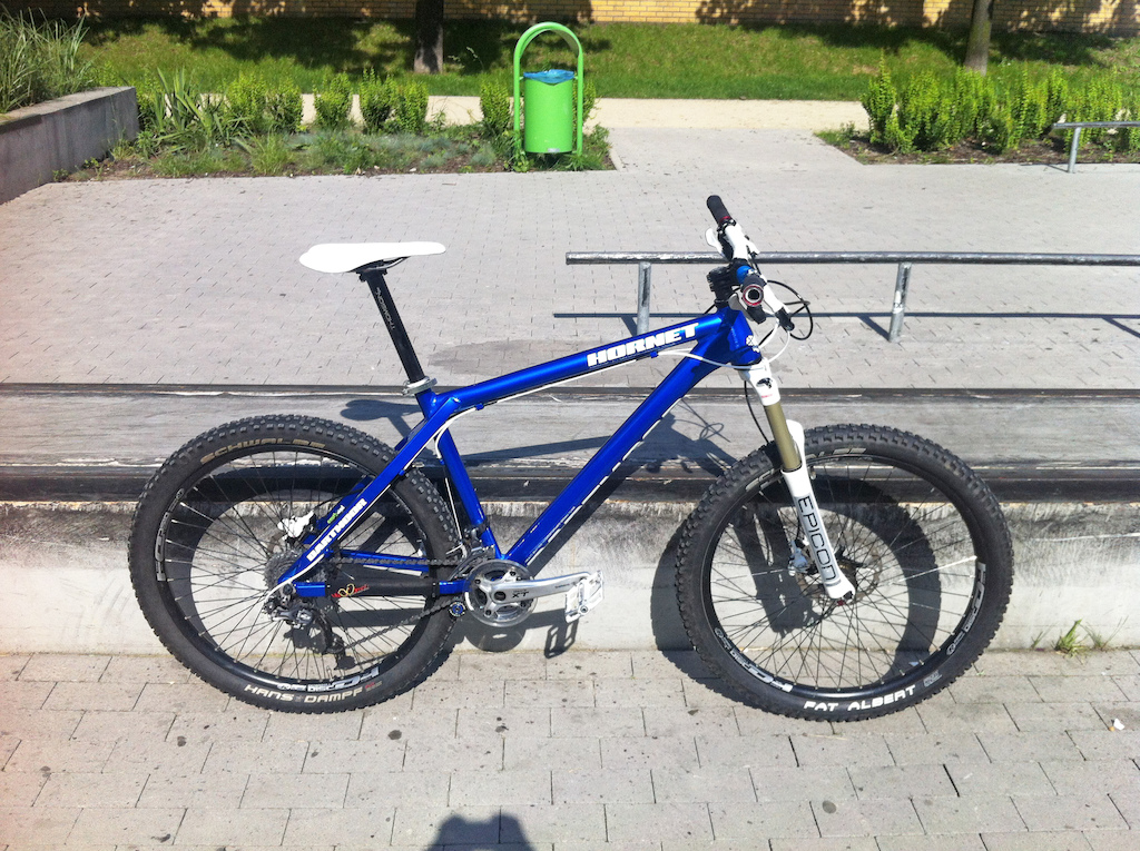 2013 Dartmoor Hornet 18" v.1
