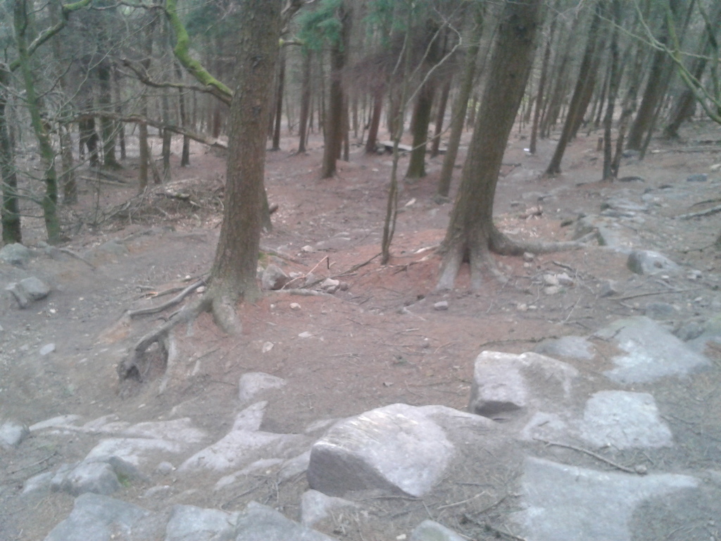 Looking down Black trail