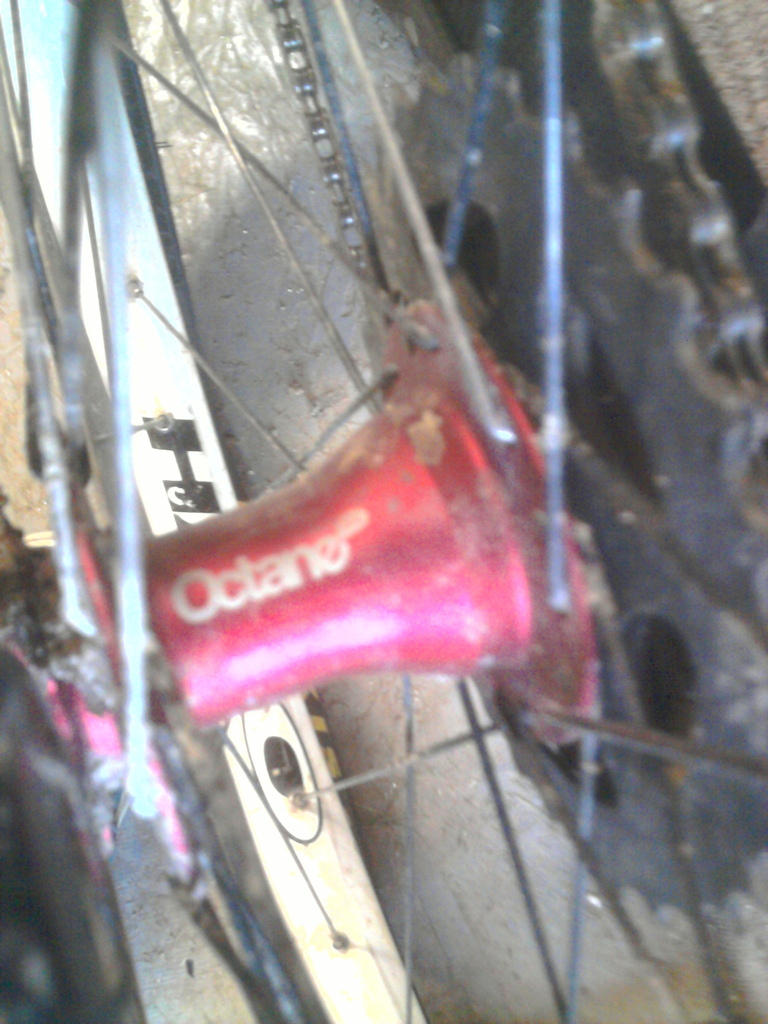 halo sas rear wheel laced to an octane one (mix and match spokes sorry)