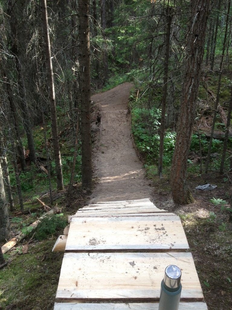 Step Down to hip