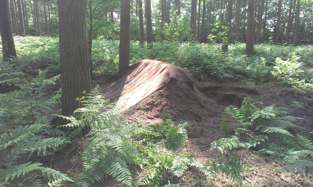 Dirt Quarter
