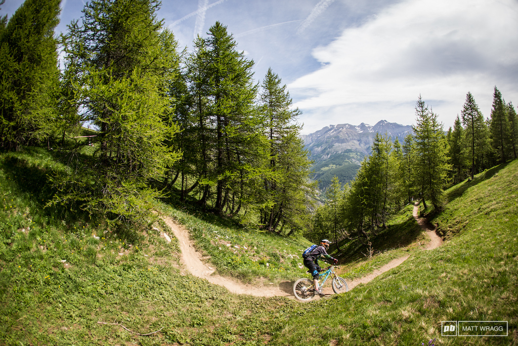This pretty much sums up the majority of the trails today singletrack winding through grass and pine trees...