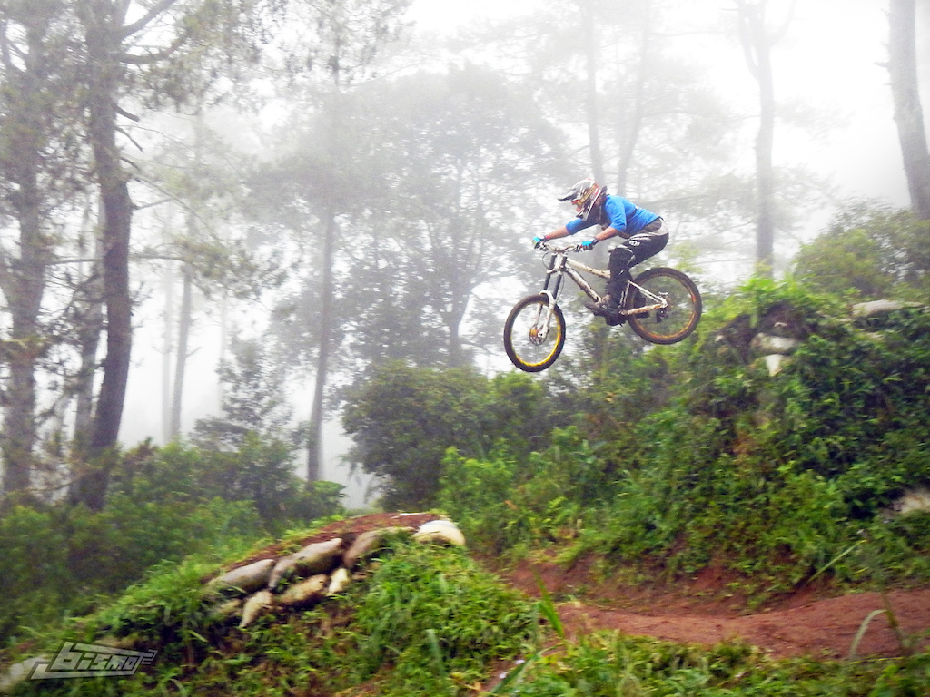 Foggy Rain DH