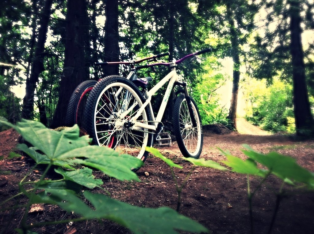 Bikes In the woods...