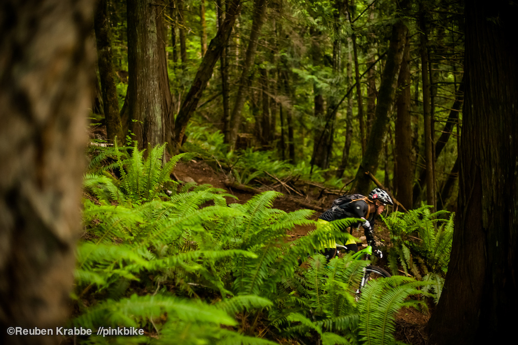 Sarah Leishman weaves through trees on Vedder