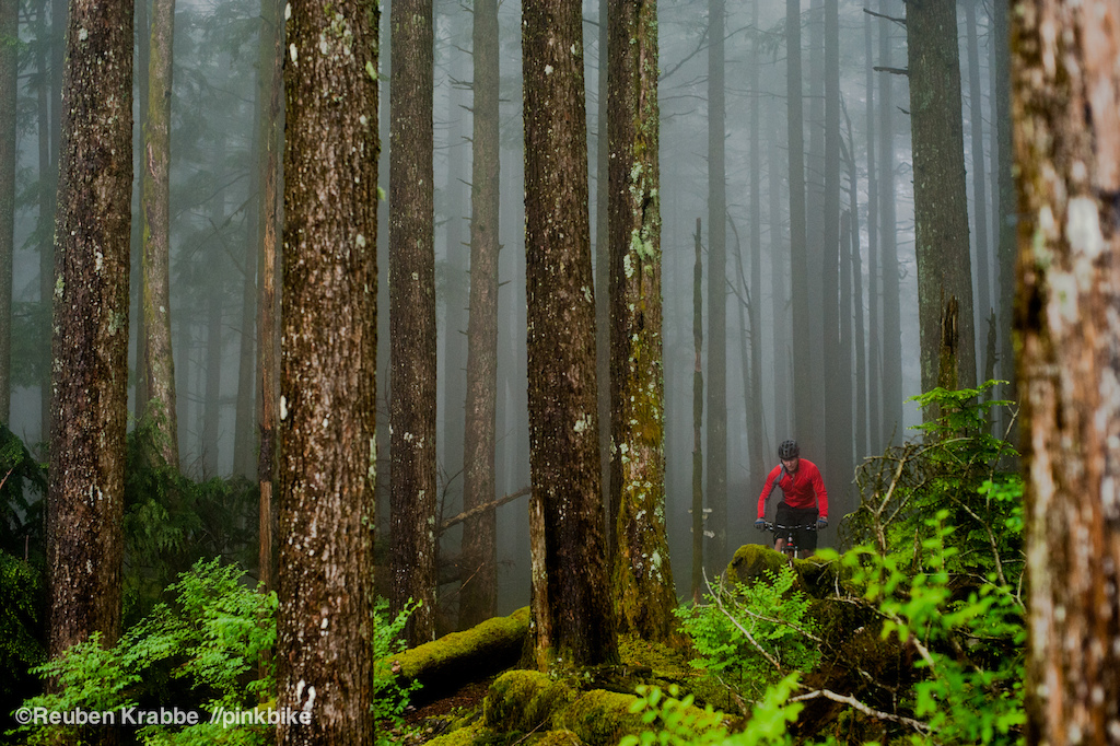 Kevin Koopmans president of FVMBA rides through foggy trees on sumas