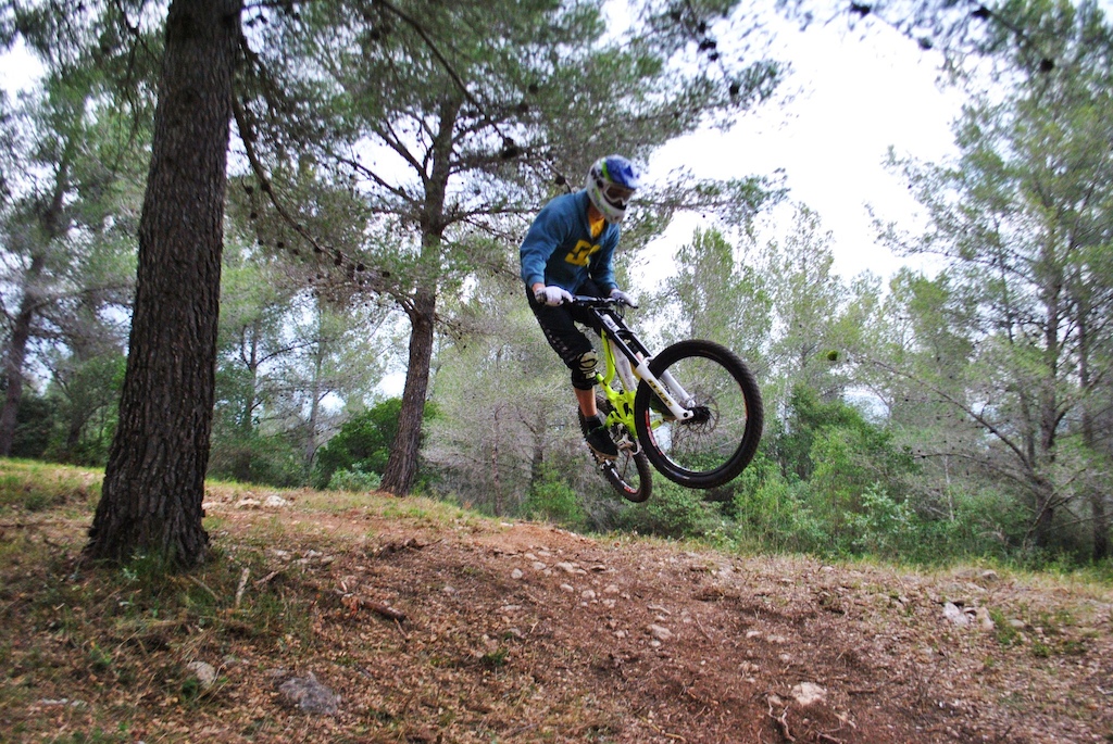 little whip