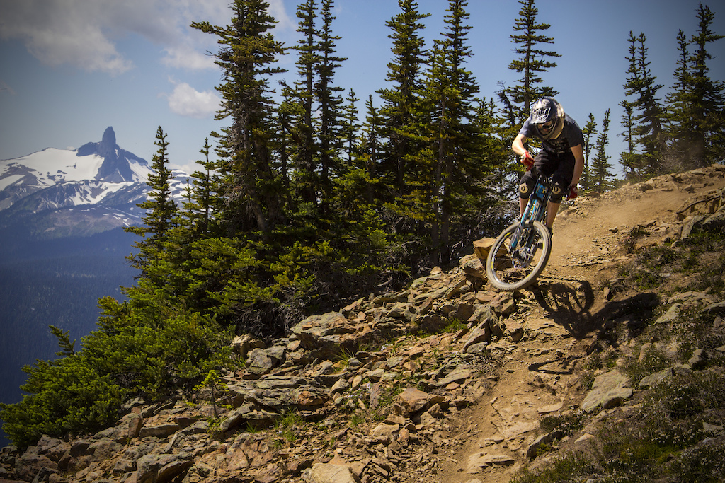 Riding top of the world trail in whistler bike park.