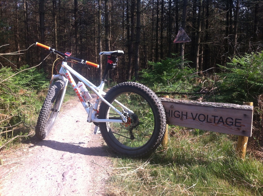 On one fat bike on Follow the dog trail, Cannock Chase
