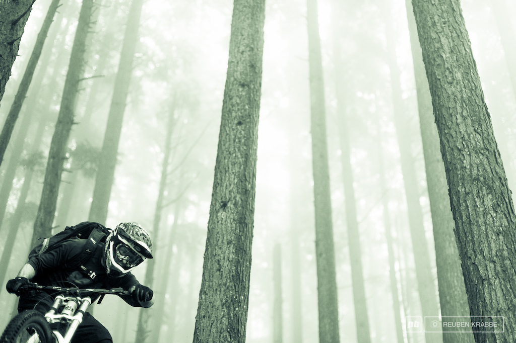 Wade Simmons at home among tall coastal trees