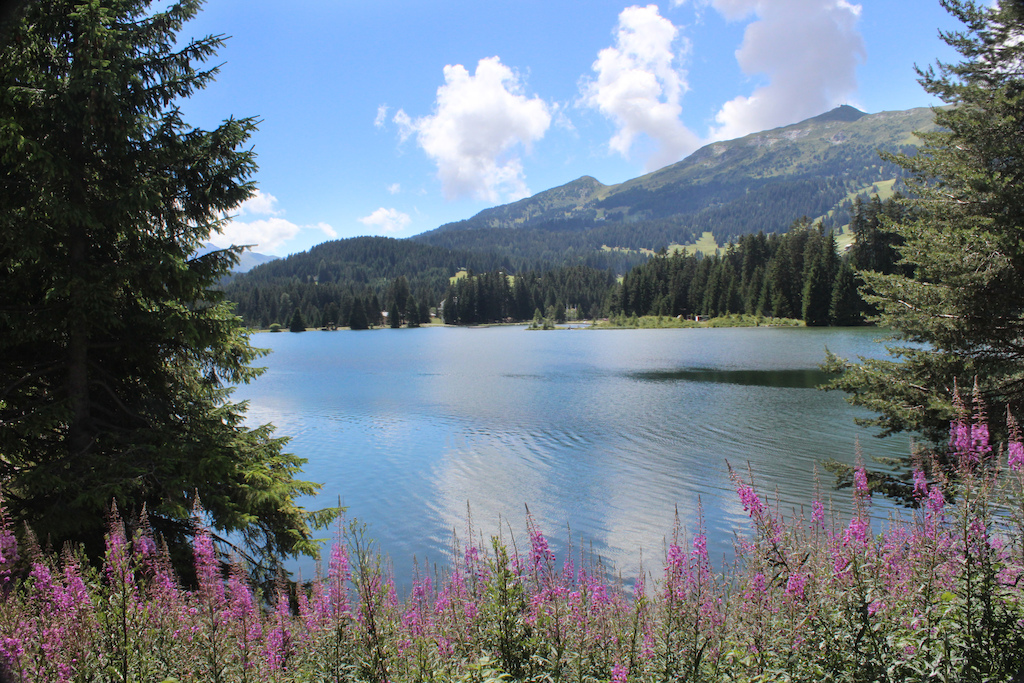 Pristine alpine lake in Lenzerheide.