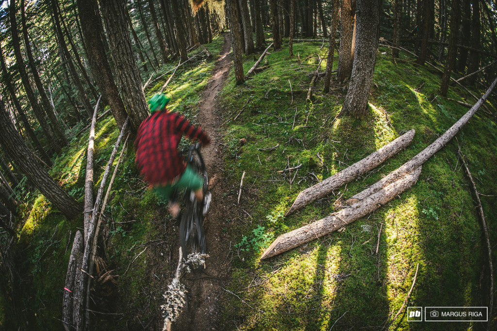 Lumberjackin' through the forest, flat out, early morning, moss, light filtering through the trees.