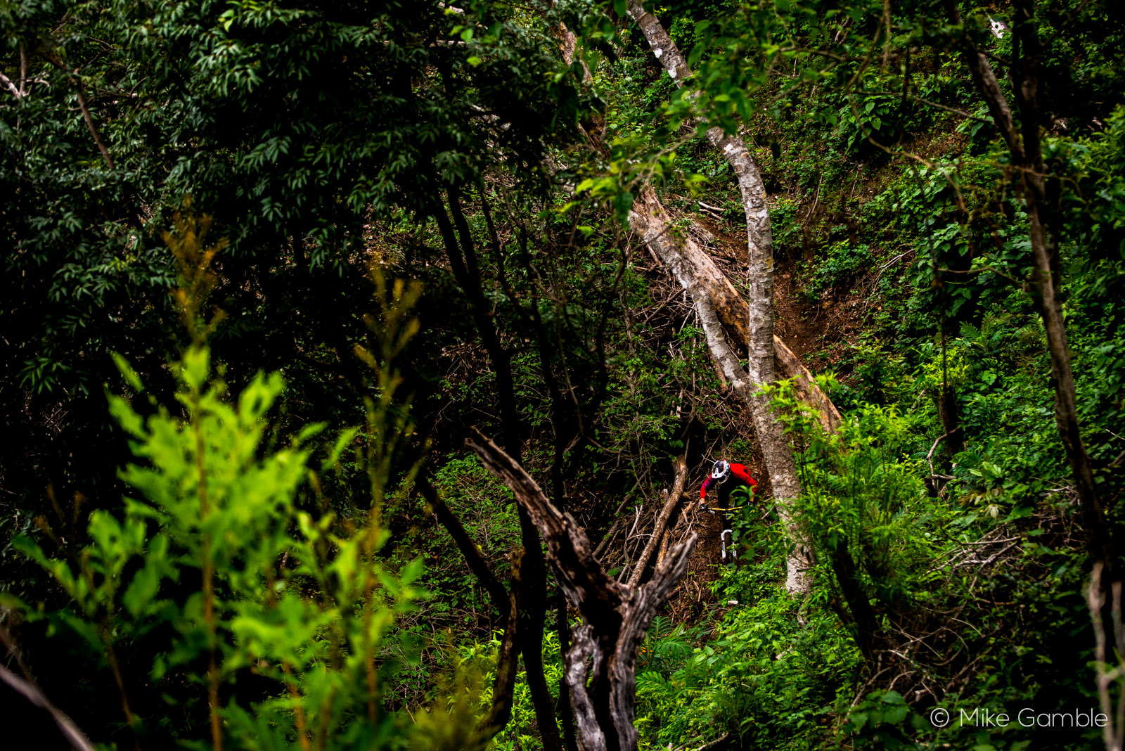 Riding a new jungle trail in El Salvador