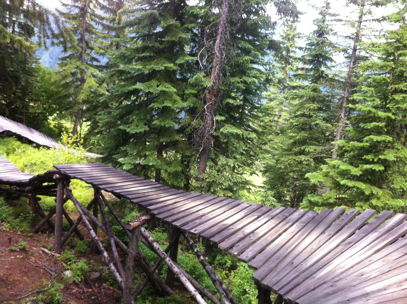 Great memories of the downhill in Canada. Best downhill holiday EVER !!! + Got to ride a Norco Aurum 2