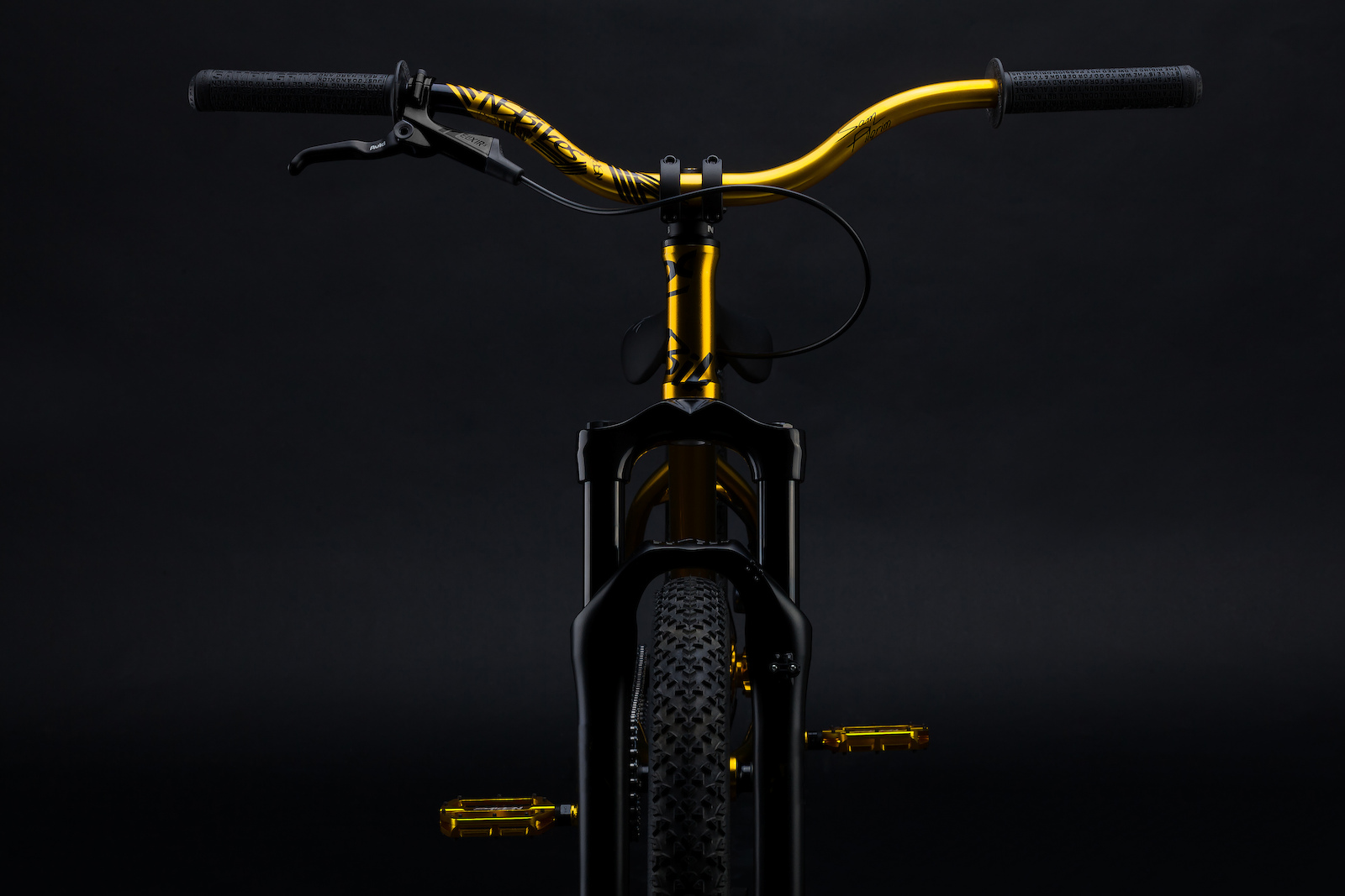 Fitted with the best possible set of components, this is just as good as it gets. Only 15 bikes will be made, each one hand-built in Europe and shipped with a cap signed by Pilgs himself.

http://nsbikes.com/gold
