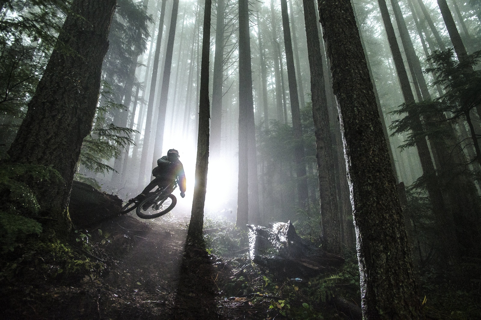 Brandon Semenuk rides a trail in the rain during the filming of Rad Company, in Sunshine Coast, BC, Canada, on 5 April, 2014. // Scott Markewitz/Red Bull Content Pool // P-20140604-00426 // Usage for editorial use only // Please go to www.redbullcontentpool.com for further information. //