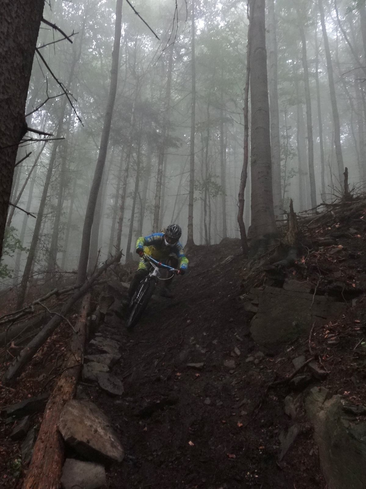 wet trail