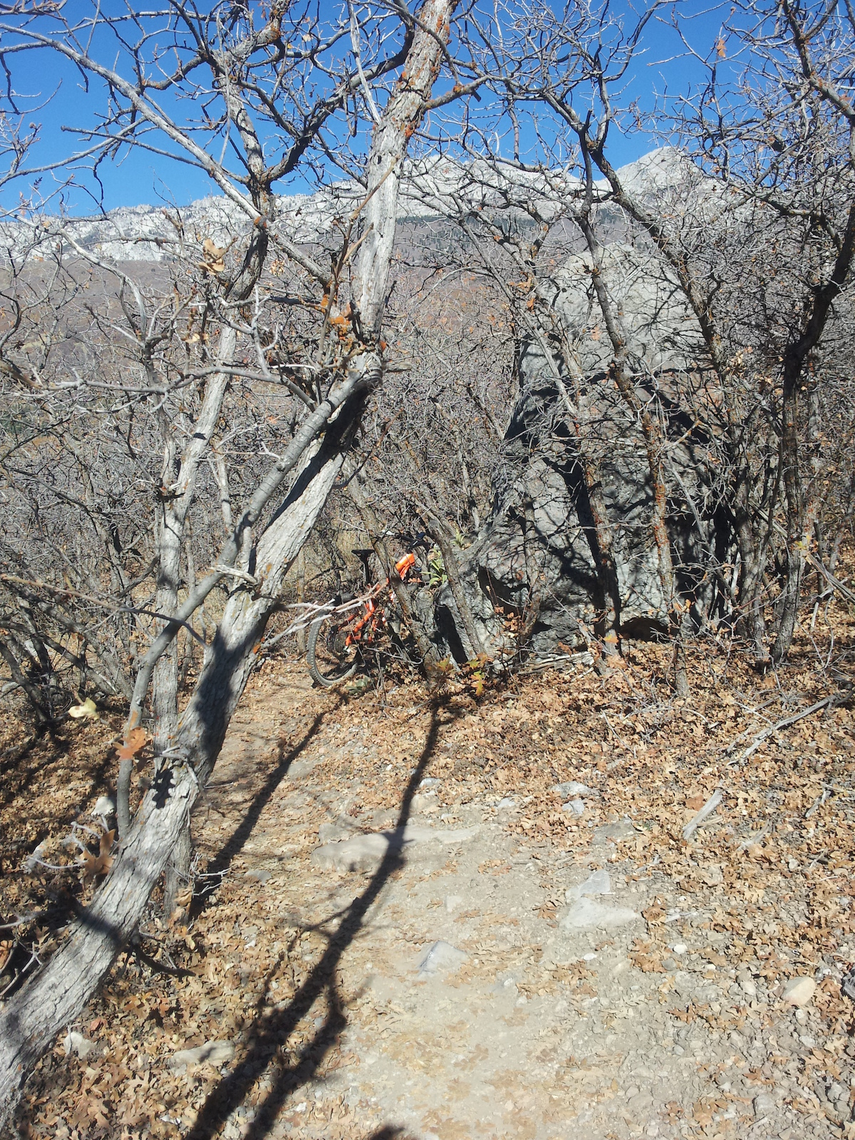 Ghost rider up middle spring October 30th
