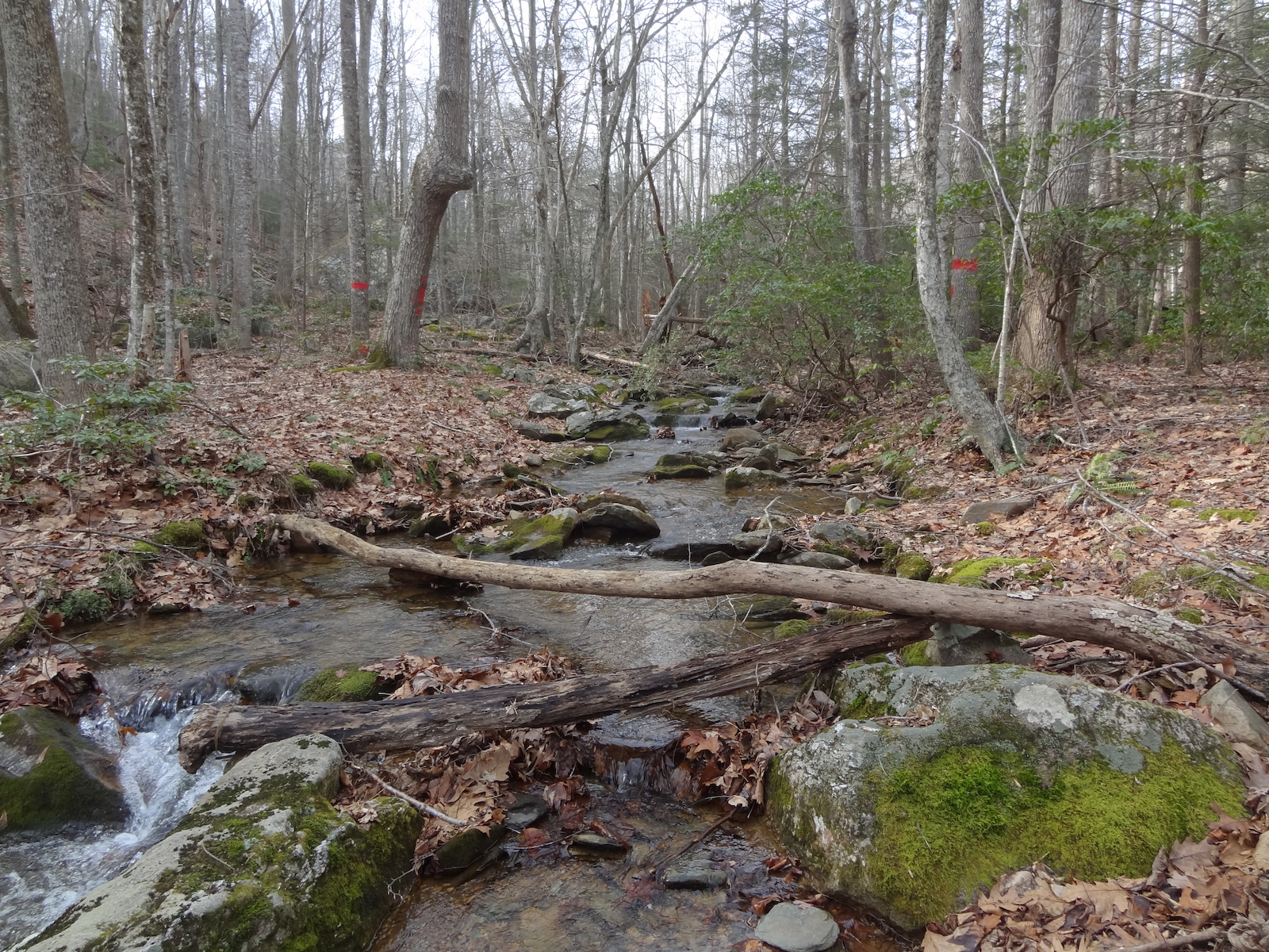 Appalachian Mountain scenery