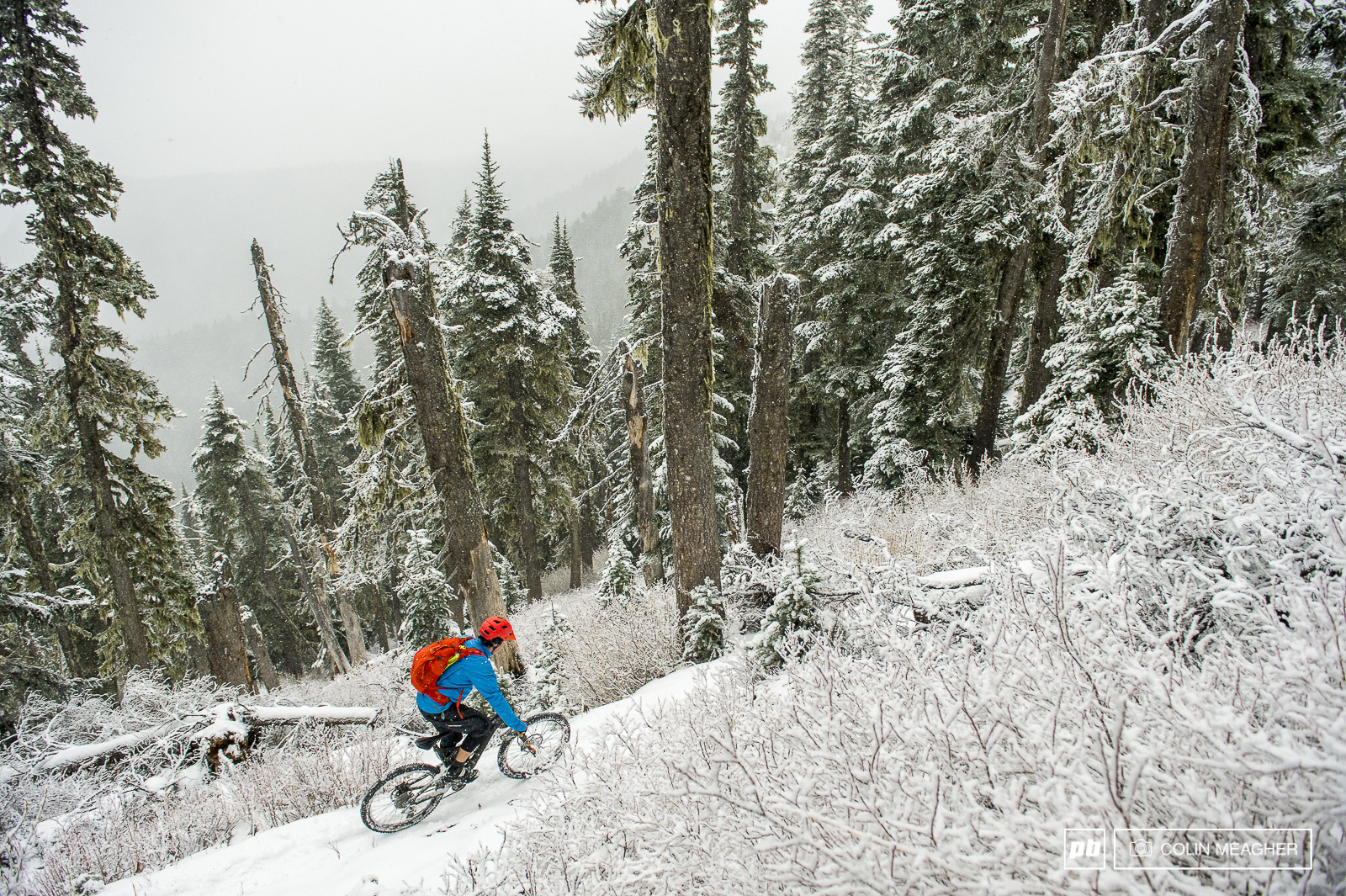 at Dalles Ridge Trail in Greenwater, Washington, United States photo