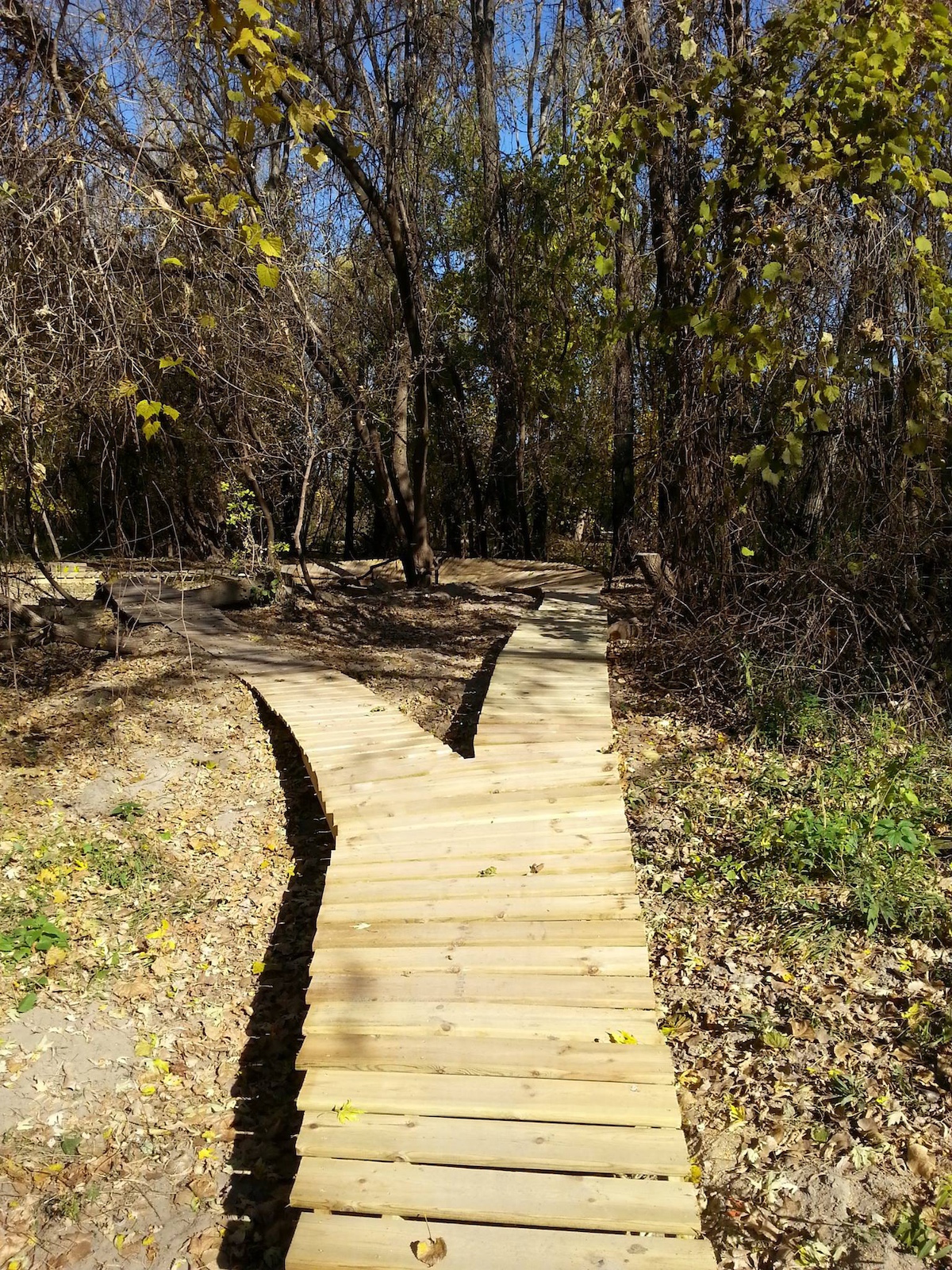 Roller coaster boardwalk at Kiwanis