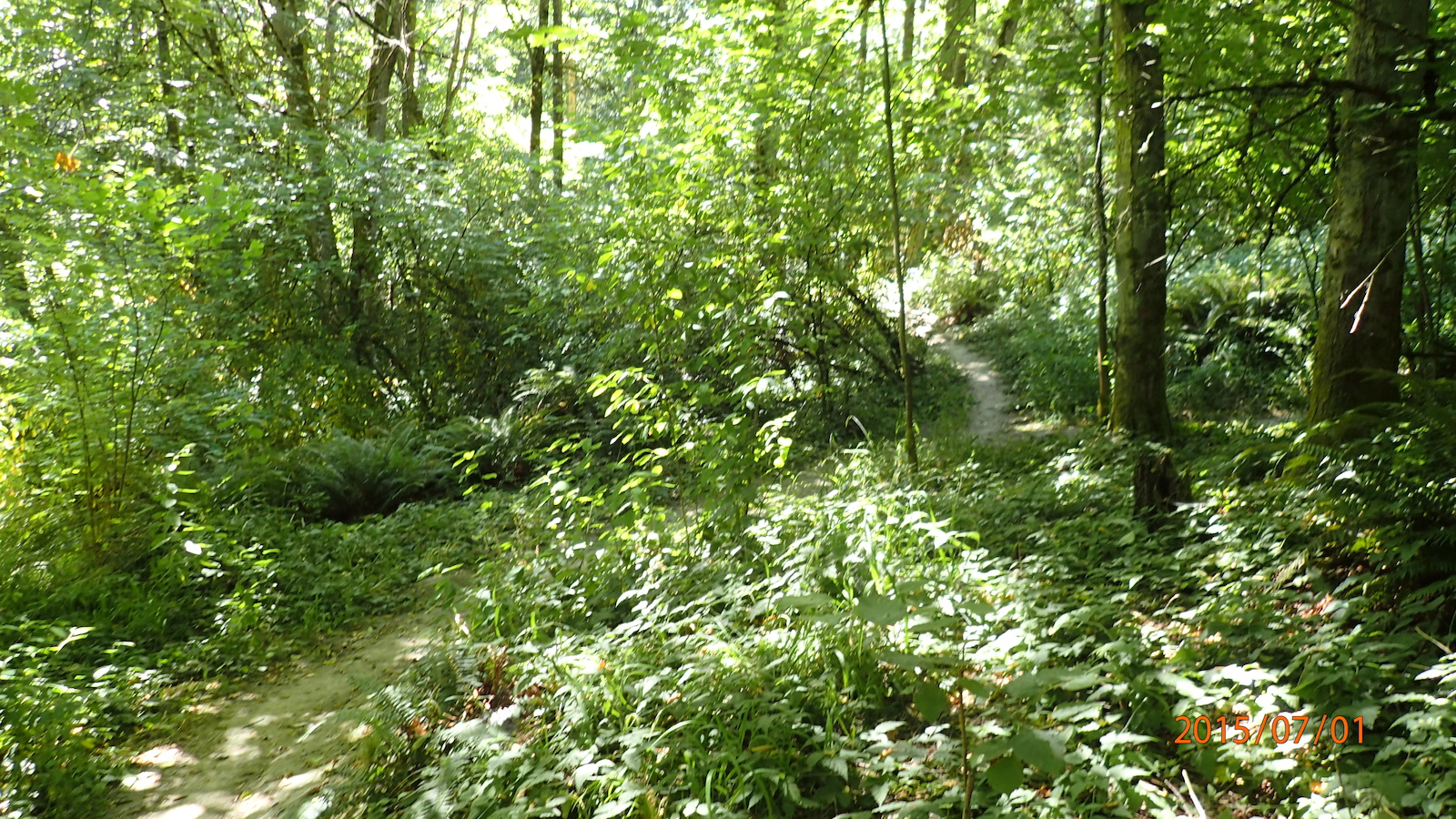 un-name trail, well i couldn't find the name...