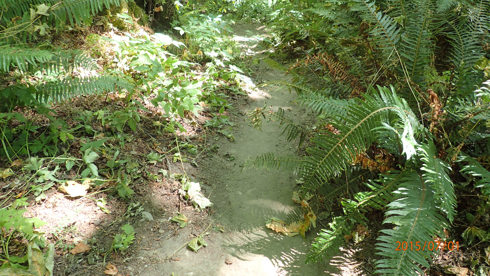 trail
