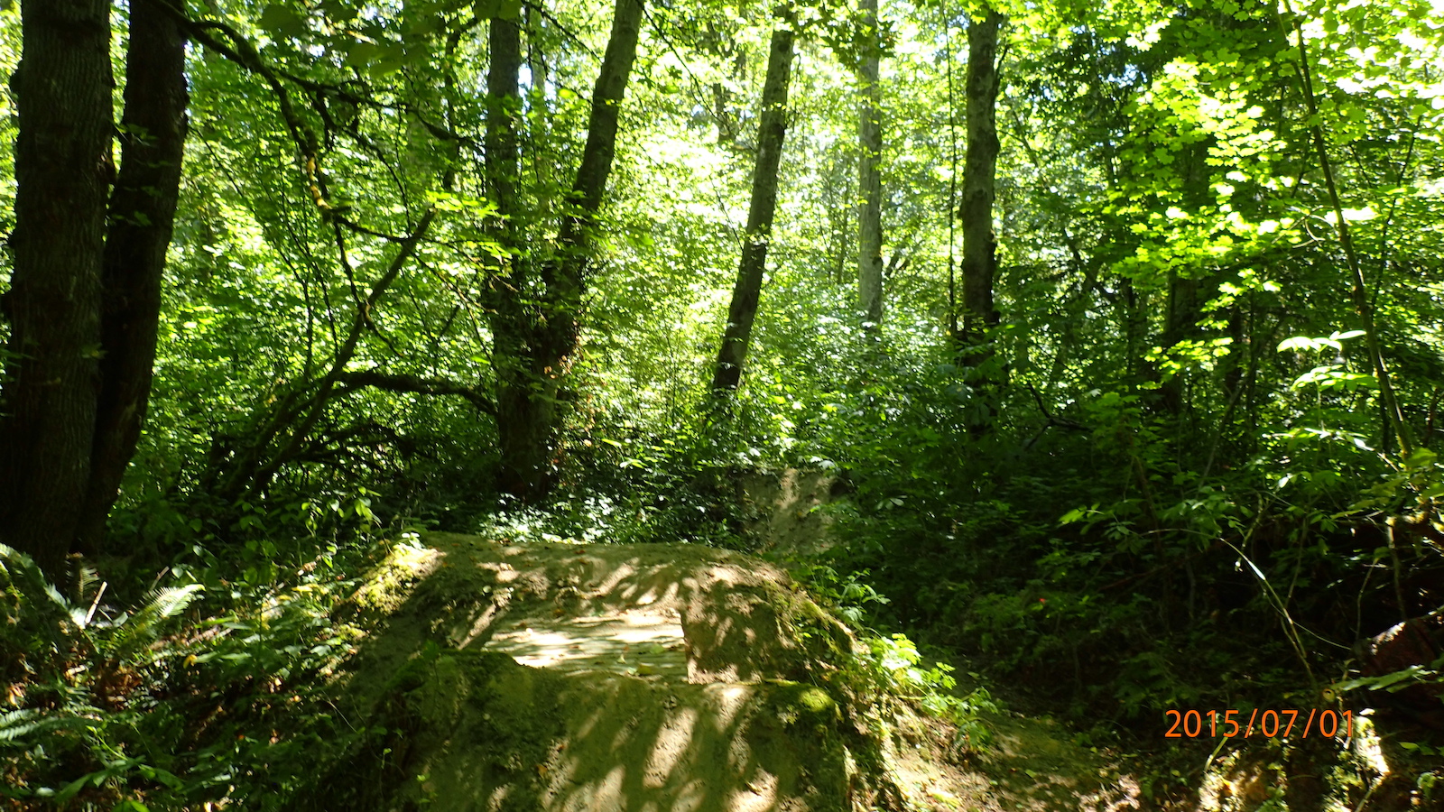 start of some jumps, not sure where the last jump will deposit you