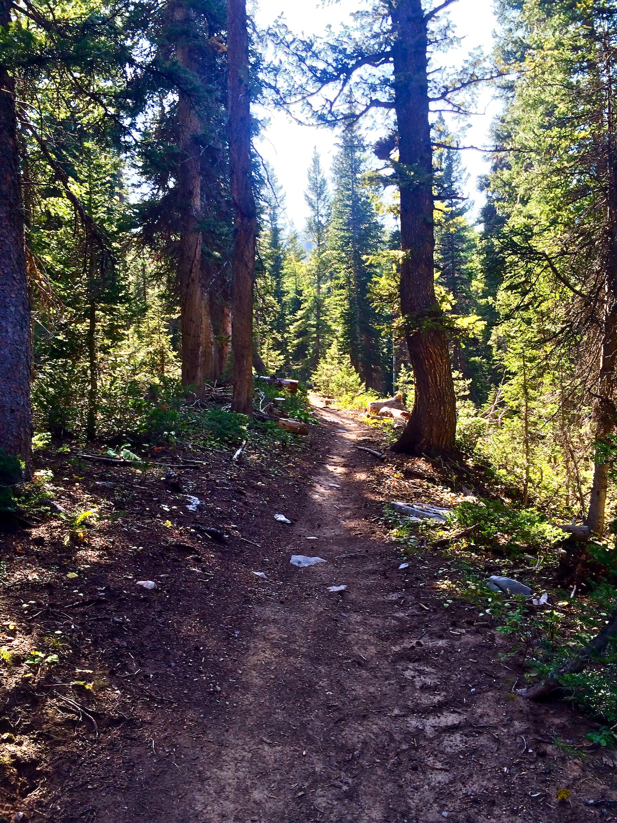 The upper portion of the Stump before dropping into Peter Sinks