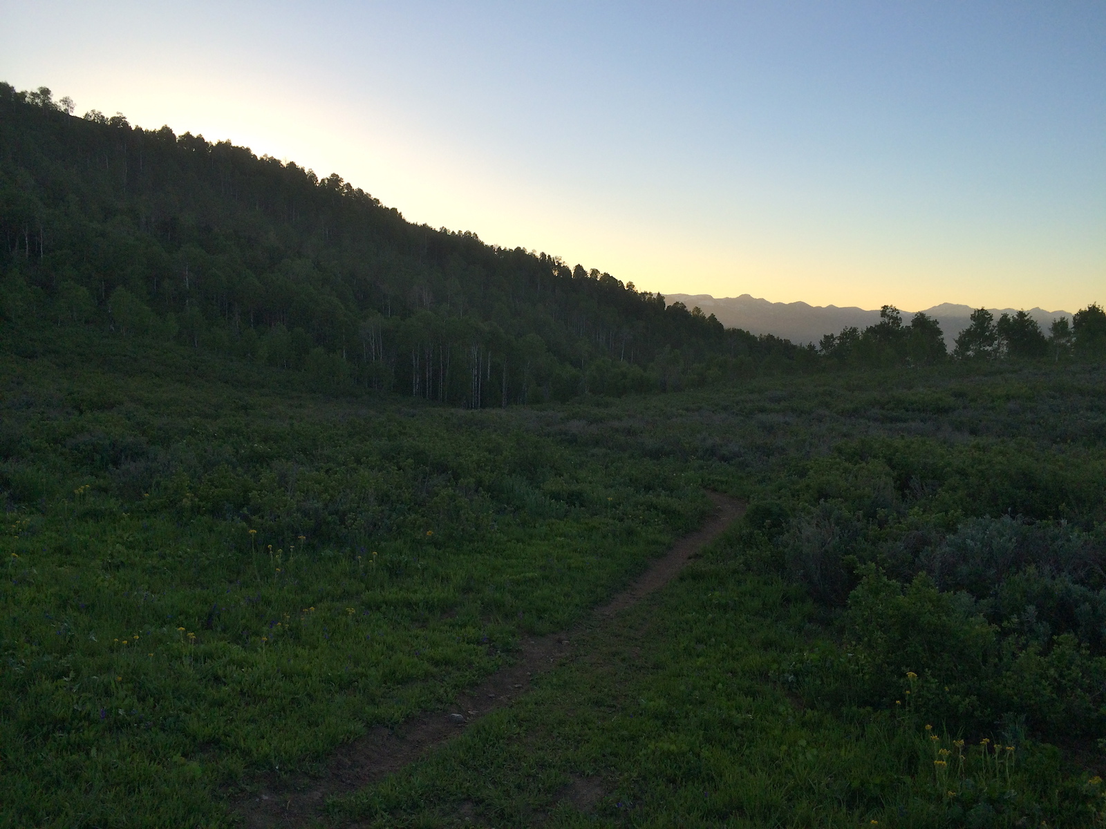 The drop into Ricks from the upper road