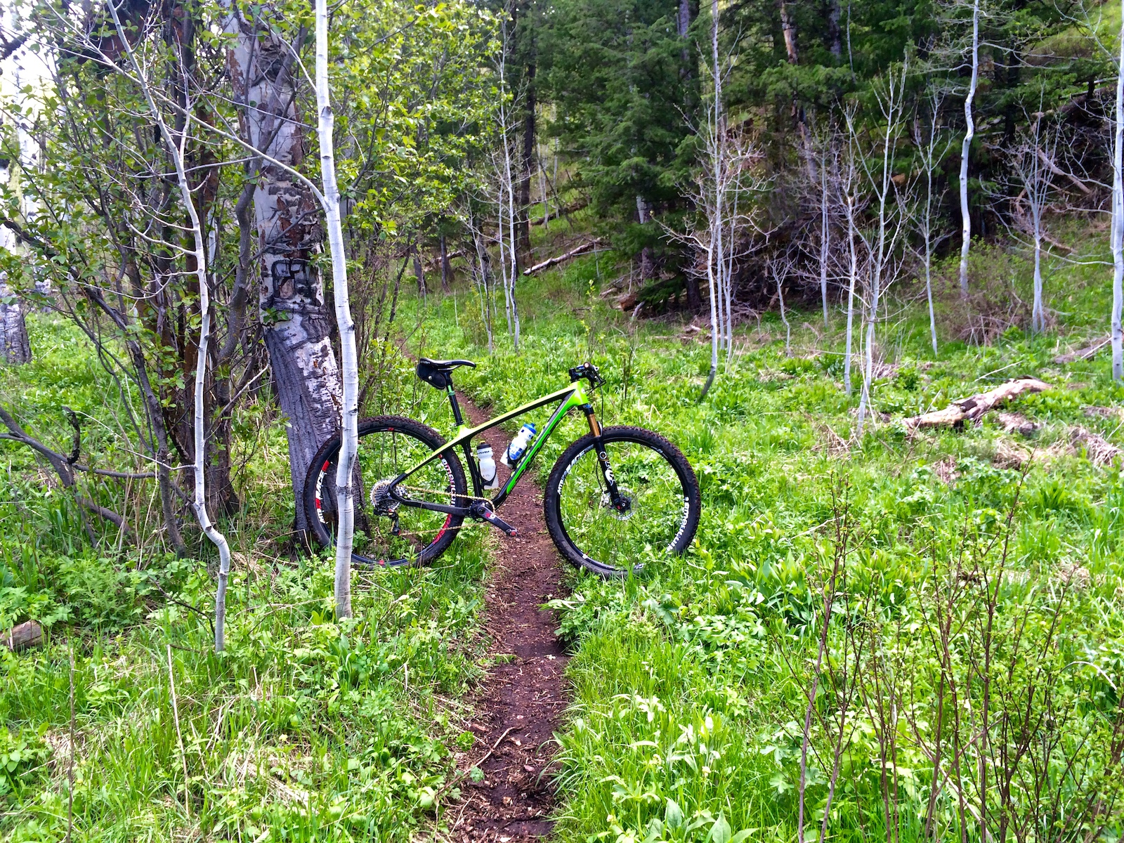 When the overgrowth isn't taking over the trail it is a real gem