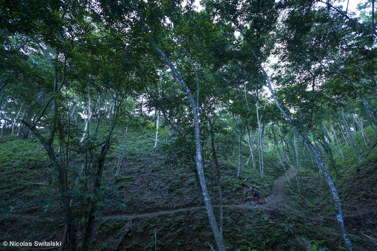 Photo Epic Riding Mexico s high mountain coffee trails
